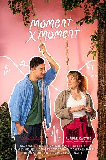 Moment by Moment () poster