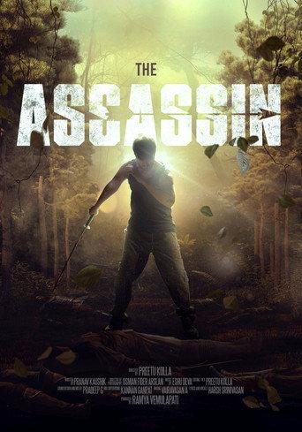 The Assassin () poster