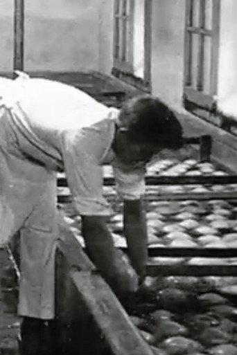 The Preparation of Cheese (1920) poster