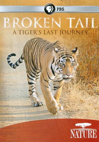 Broken Tail: A Tiger's Last Journey (2011) poster