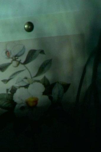 out of touch (franklinia still life) (2023) poster