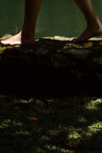 Sonho Verde (2020) poster