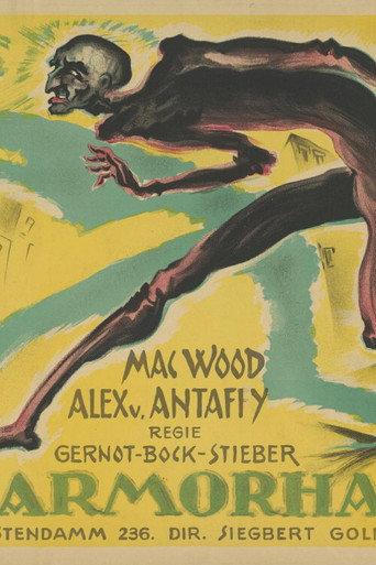 The invisible thief (1920) poster