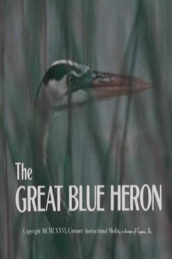 The Great Blue Heron (1976) poster