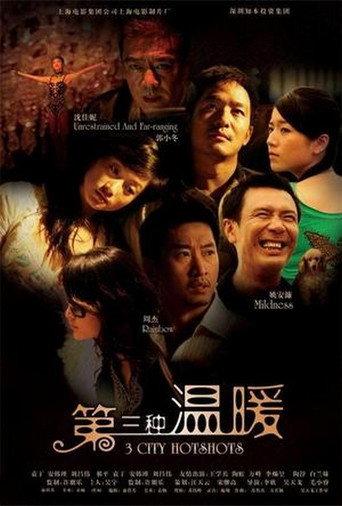 3 City Hotshots (2006) poster