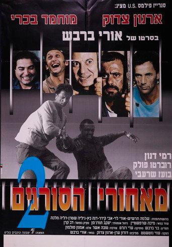 Beyond the Walls II (1992) poster