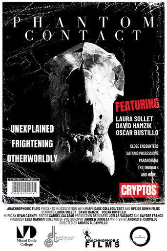 Phantom Contact (2024) poster