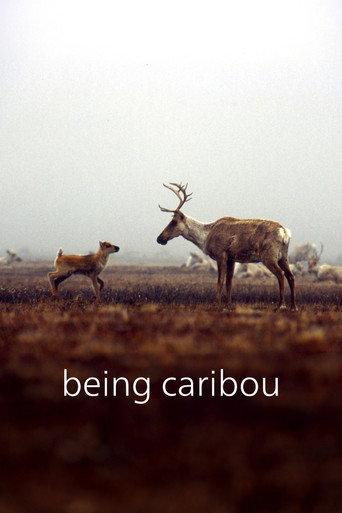 Being Caribou (2005) poster