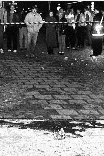Murder in Stockholm (2001) poster