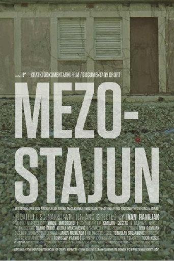 Mezostajun (2018) poster