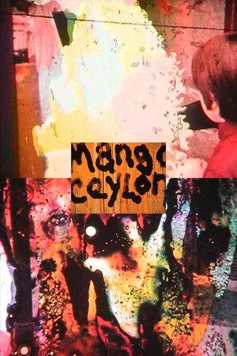 Mango Ceylon (2004) poster