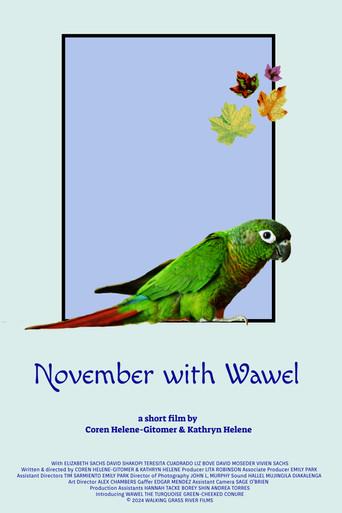 November with Wawel () poster
