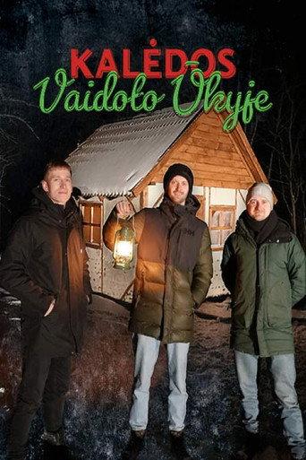 Christmas at Vaidotas Farm () poster