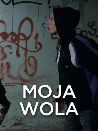 A Dream in the Making (2012) poster
