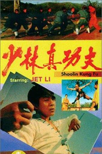 Shaolin Kung Fu (1994) poster