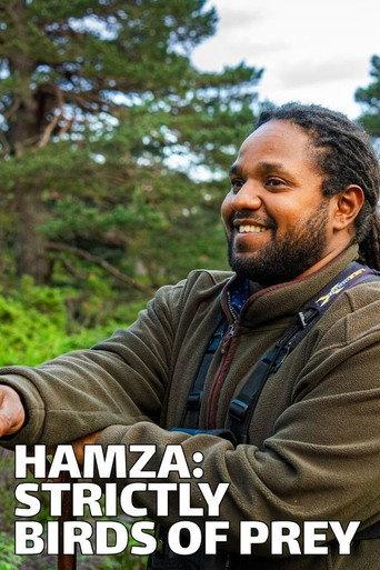 Hamza: Strictly Birds of Prey (2023) poster