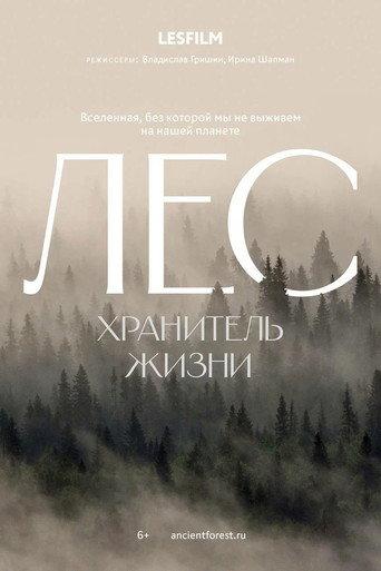 The Forest (2026) poster