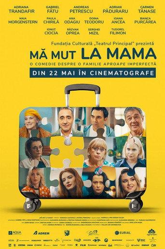 I'm Moving in with Mom () poster