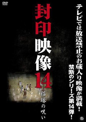 Sealed Video 14: Nekozuka's Curse (2013) poster