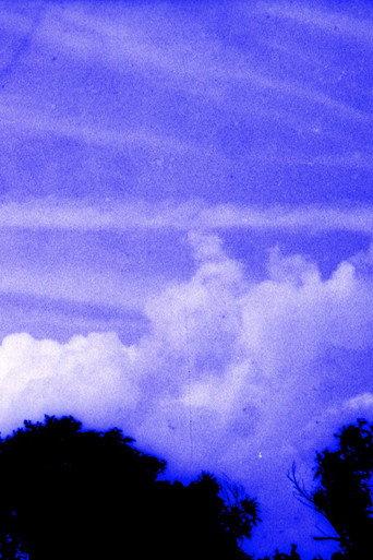 Anomalies in a Landscape (2025) poster