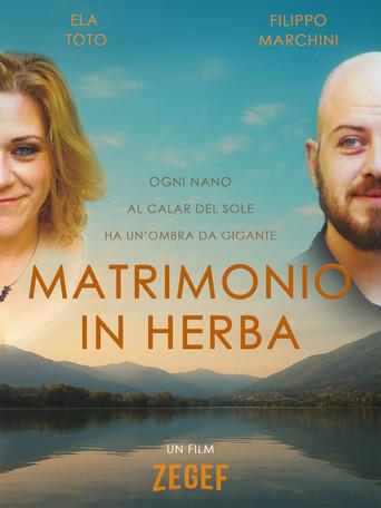 Marriage in the Making (2025) poster