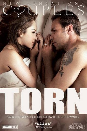 Torn (2012) poster
