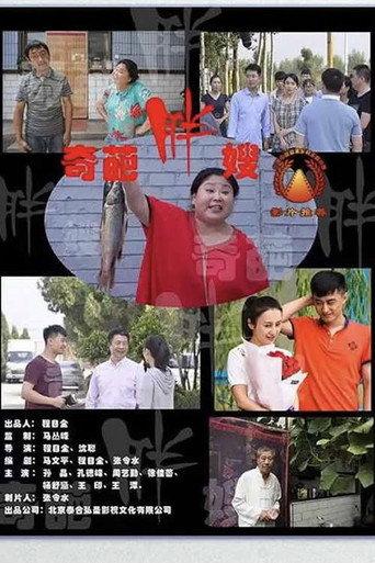 奇葩胖嫂 (2020) poster