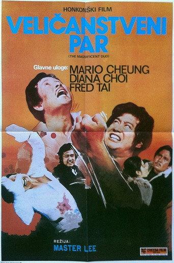 The Magnificent Duo (1979) poster