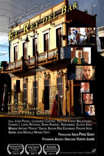 El Rey del Bar (2013) poster