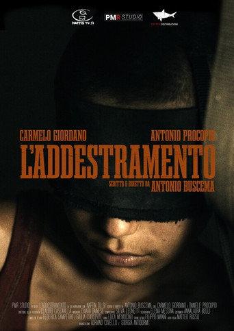 L'addestramento () poster