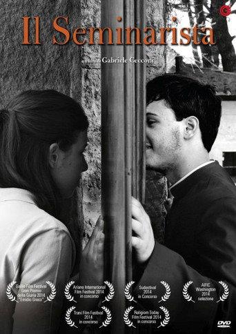 The Seminarian (2013) poster