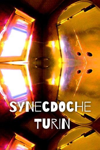 Synecdoche Turin (2020) poster