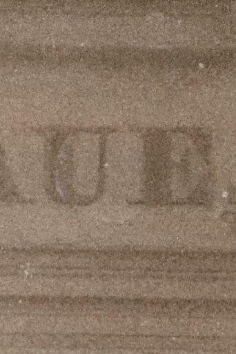 Paulinenaue (2025) poster