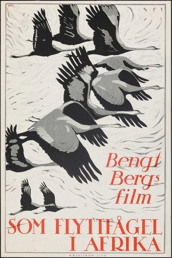 As a Migratory Bird in Africa (1922) poster