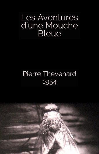 The Adventures of a Blue Fly (1954) poster