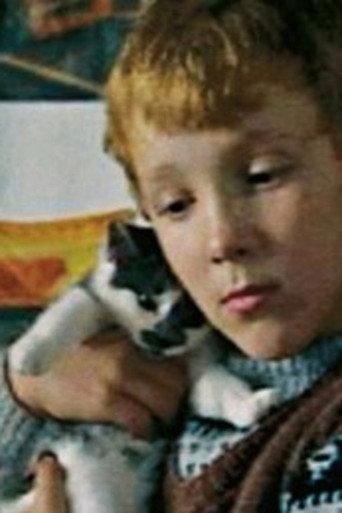 Lauges kat (2003) poster