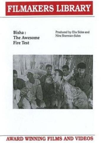 Bisha: The Awesome Fire Test (1995) poster