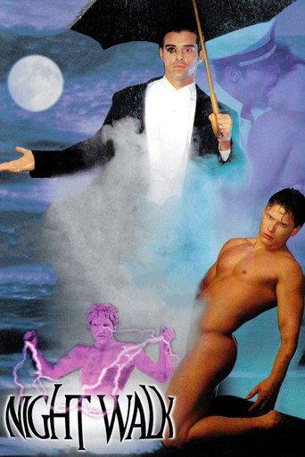 Night Walk: A Bedtime Story (1995) poster