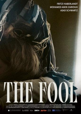 The Fool (2025) poster