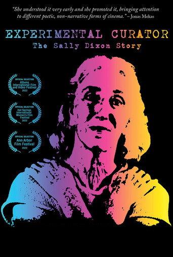Experimental Curator: The Sally Dixon Story (2022) poster