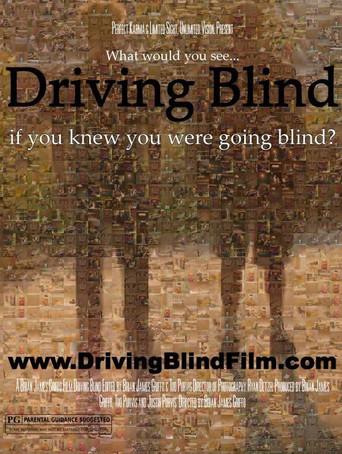 Driving Blind (2014) poster