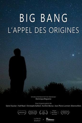 Big bang, l'appel des origines (2022) poster