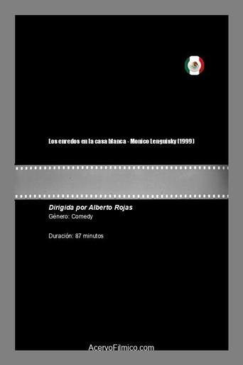 Los enredos en la casa blanca (1999) poster