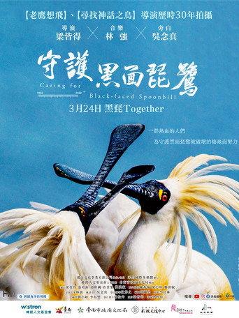 Caring for Black-Faced Spoonbill (2023) poster