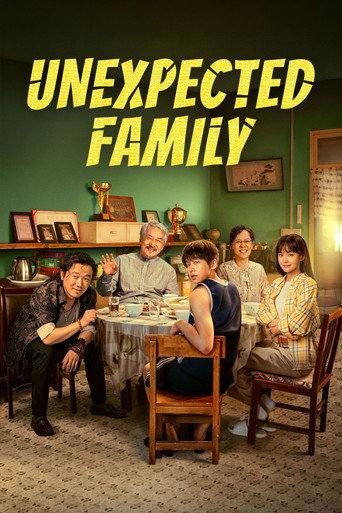 Unexpected Family (2026) poster