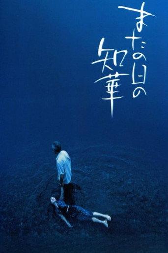 The Many Faces of Chika (2005) poster