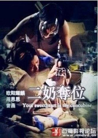二奶奪位 (1999) poster
