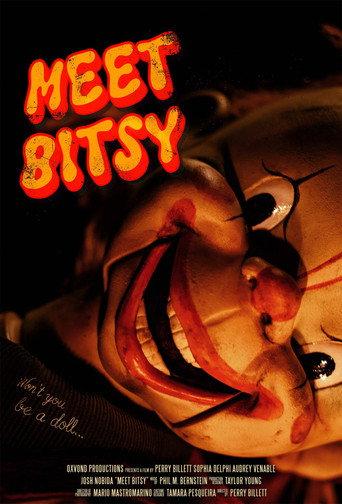 Meet Bitsy () poster