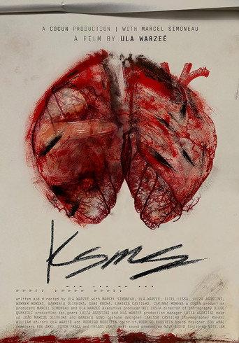 KSMS (2025) poster