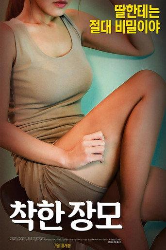 Nice Mother-in-law (2017) poster